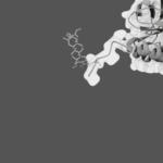 bRo5: Building a platform for high-throughput development of PROTACs and molecular glues